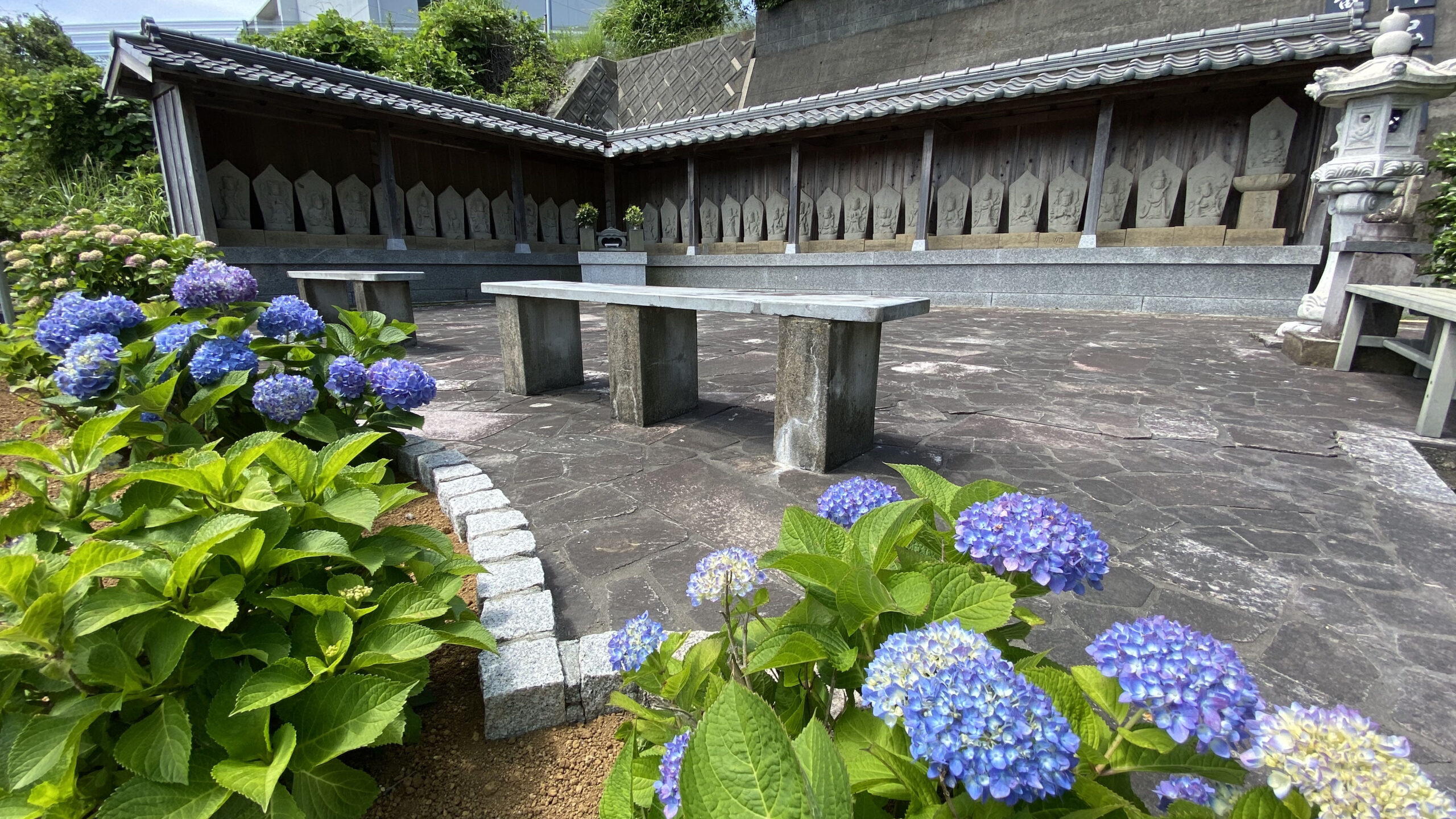 境内に咲く青い紫陽花と並ぶ石仏